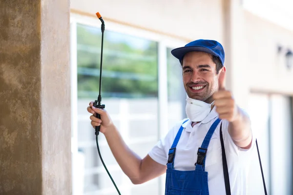 Los Altos Wasp Removal