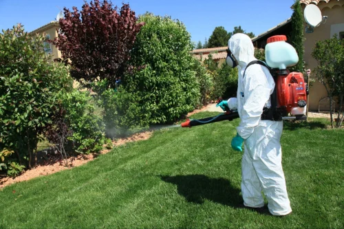 Los Altos Mosquito Control