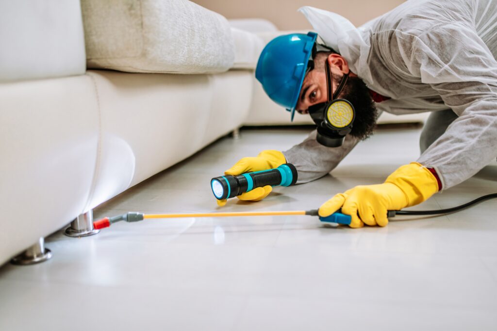 Los Altos Termite Control
