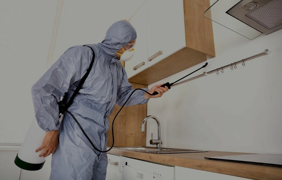 Los Altos pest managment